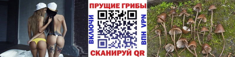 даркнет сайт Дзержинск кракен вход Галлюциногенные грибы MAGIC MUSHROOMS